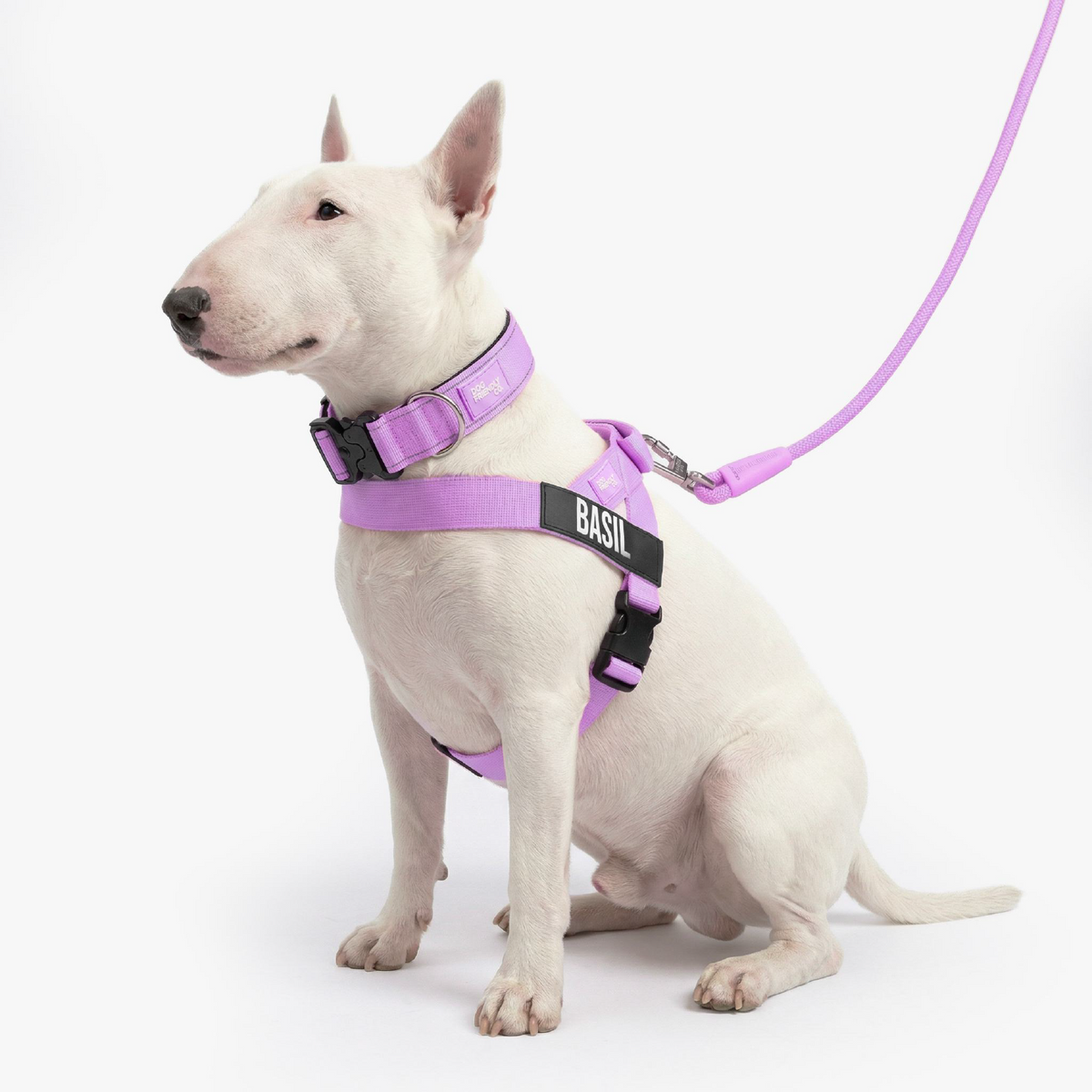 Dog Lovers Pack