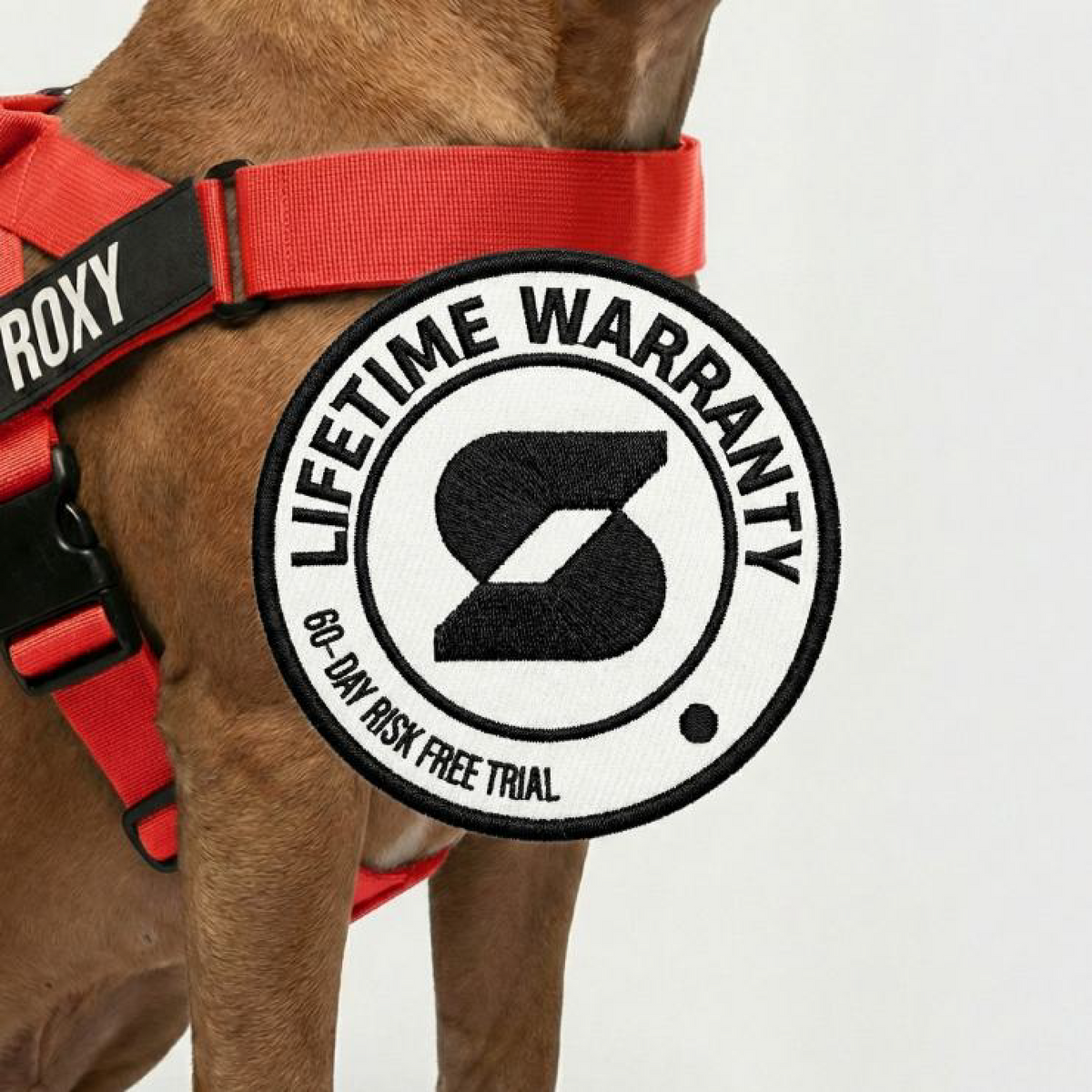Dog Lovers Pack