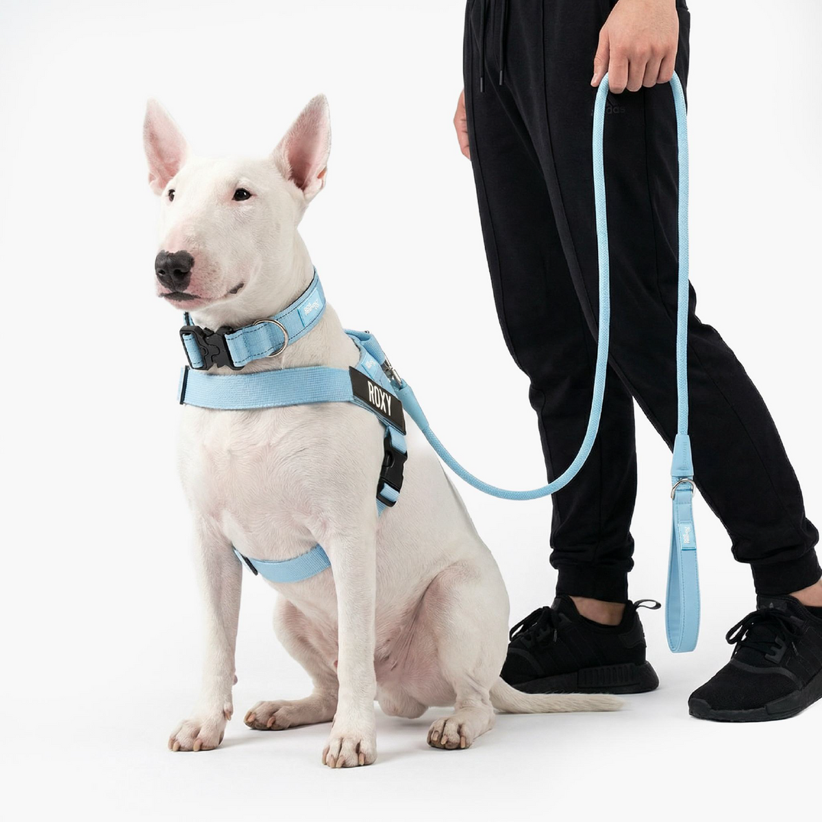 Dog Lovers Pack