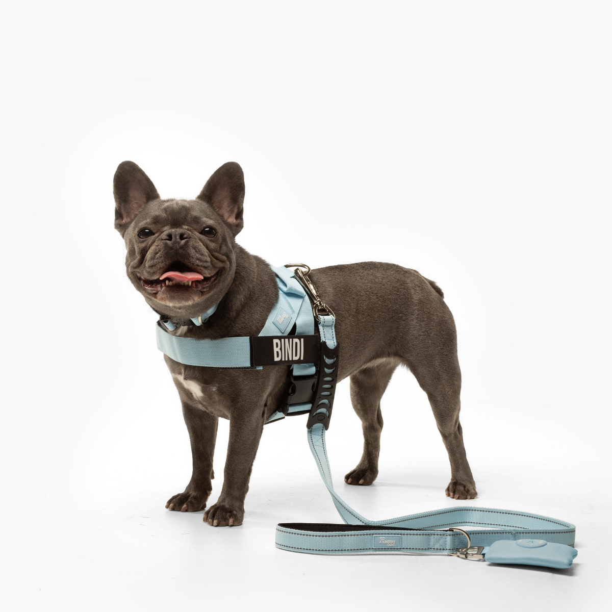 Dog Lovers Pack