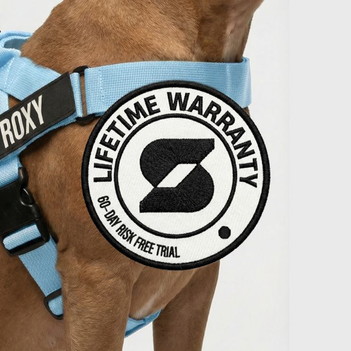 Dog Lovers Pack
