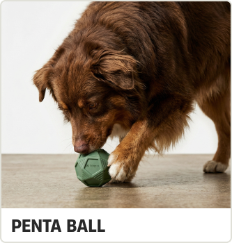 PENTA BALL