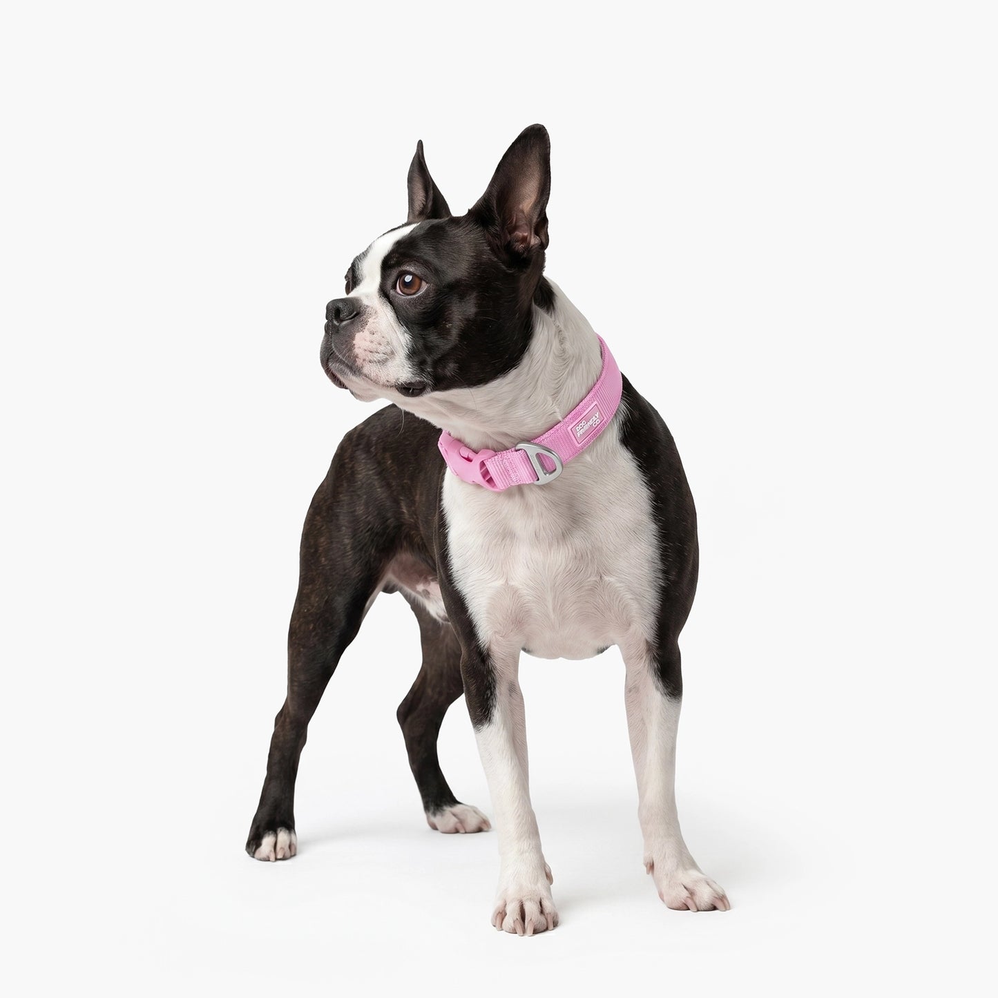 Essentials Collar - Pink