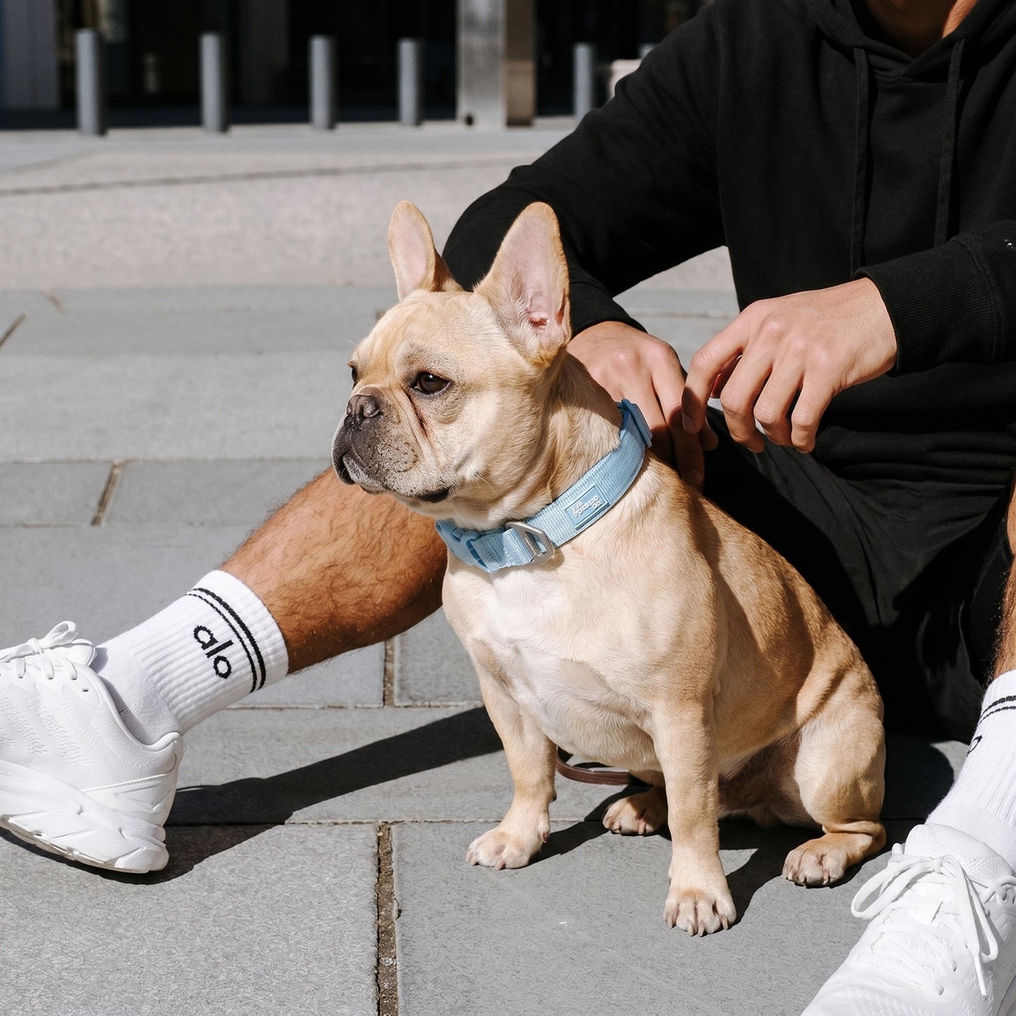 Essentials Collar - Sky Blue