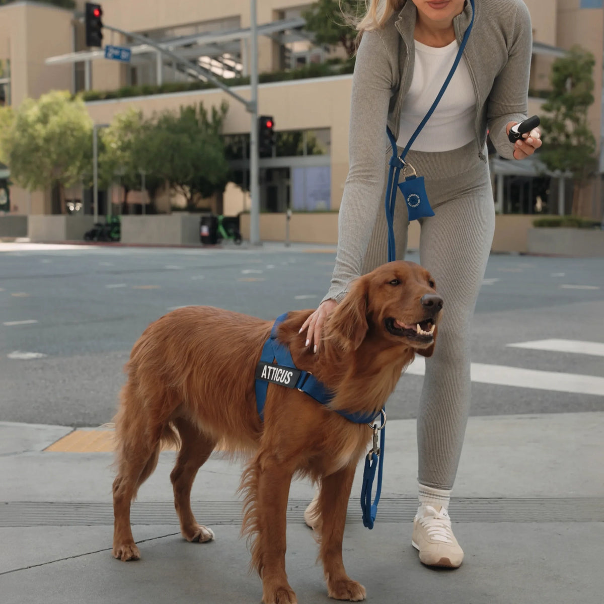 Hands Free Leash - Classic Blue