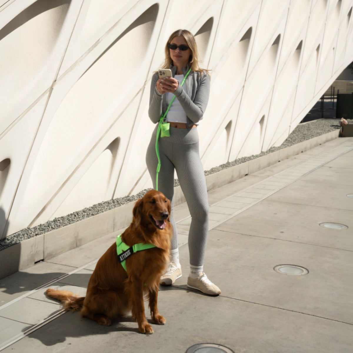 Hands Free Leash - Neon Green