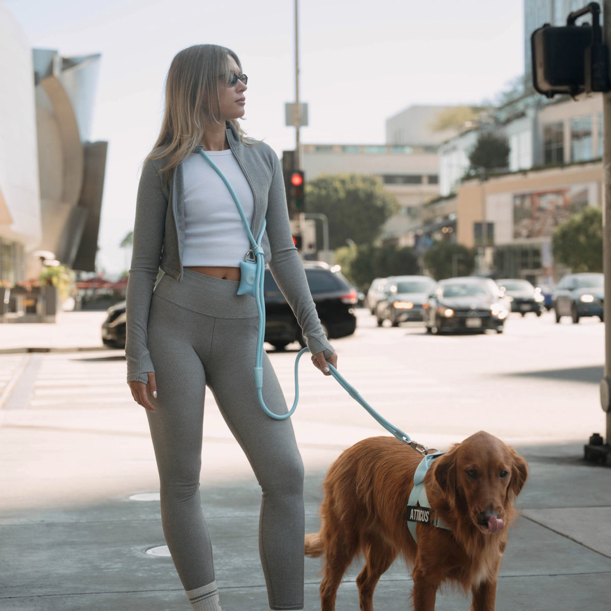 Hands Free Leash - Sky Blue