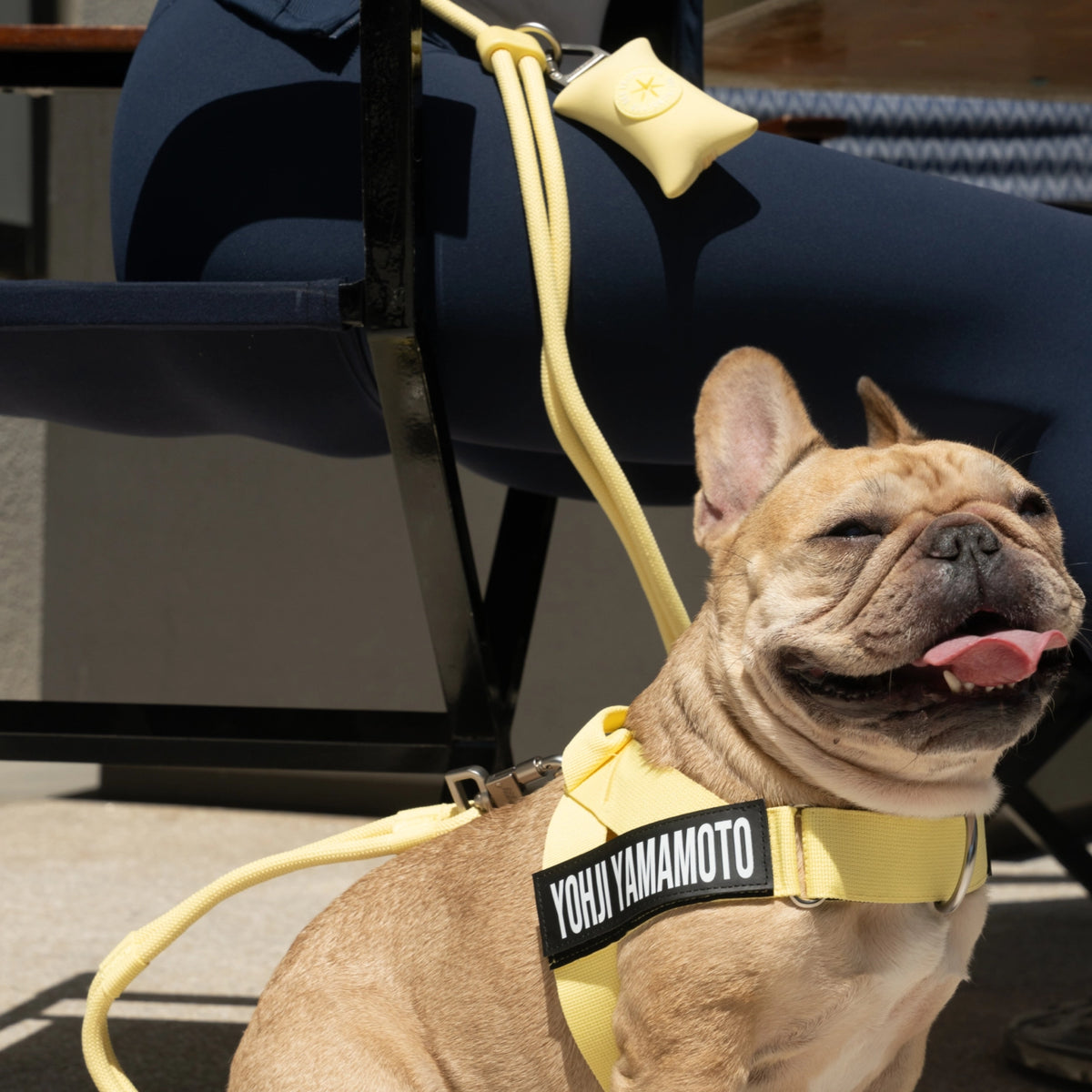 Hands Free Leash - Influencer Exclusive