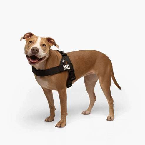 Dog Harness + FREE D-ring - 50% OFF