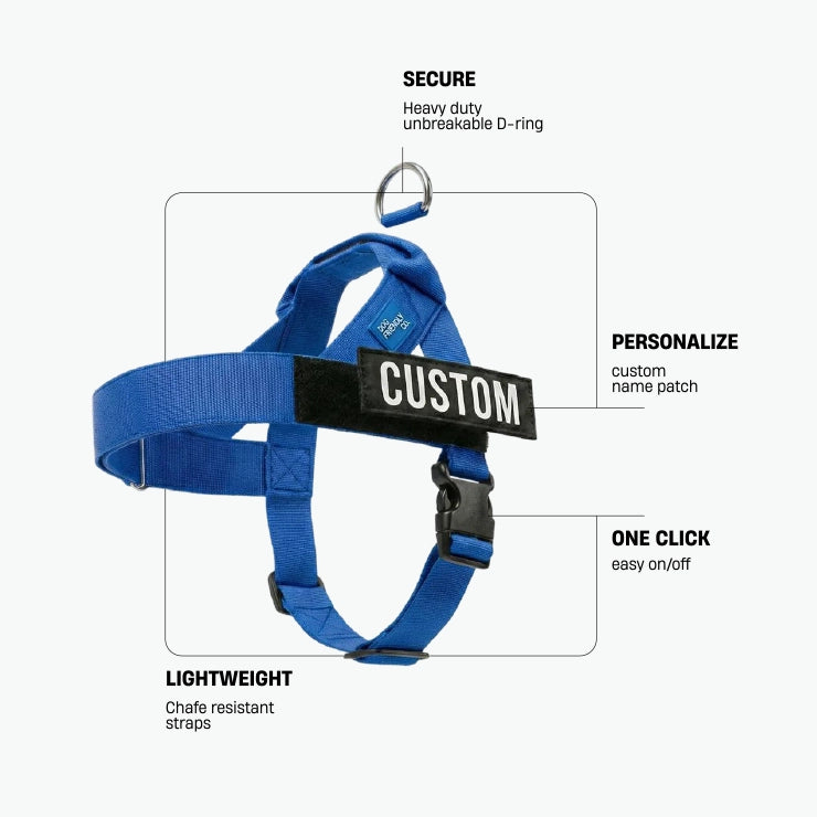 Personalised Dog Harness - Classic Blue