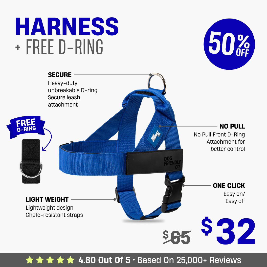 Dog Harness + FREE D-ring - 50% OFF