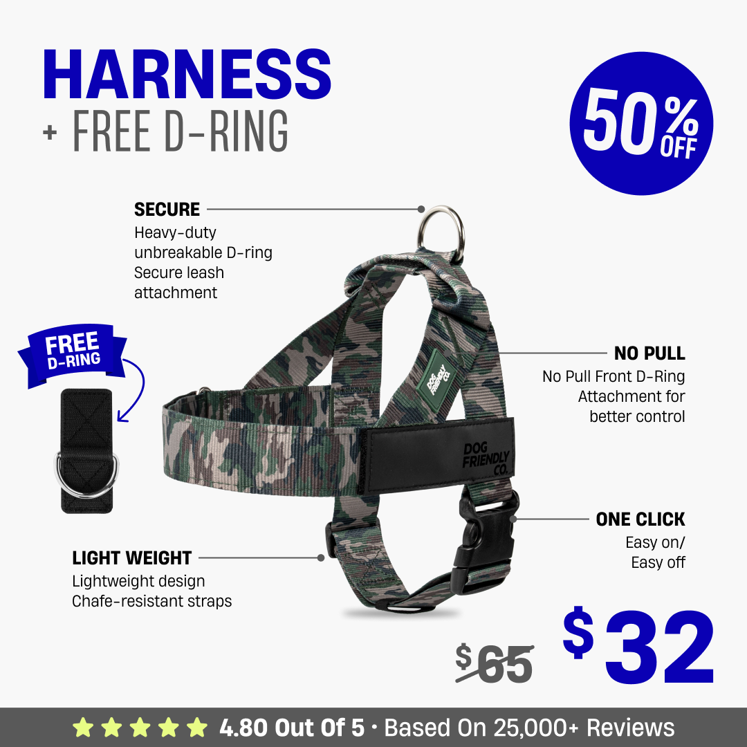 Dog Harness + FREE D-ring - 50% OFF