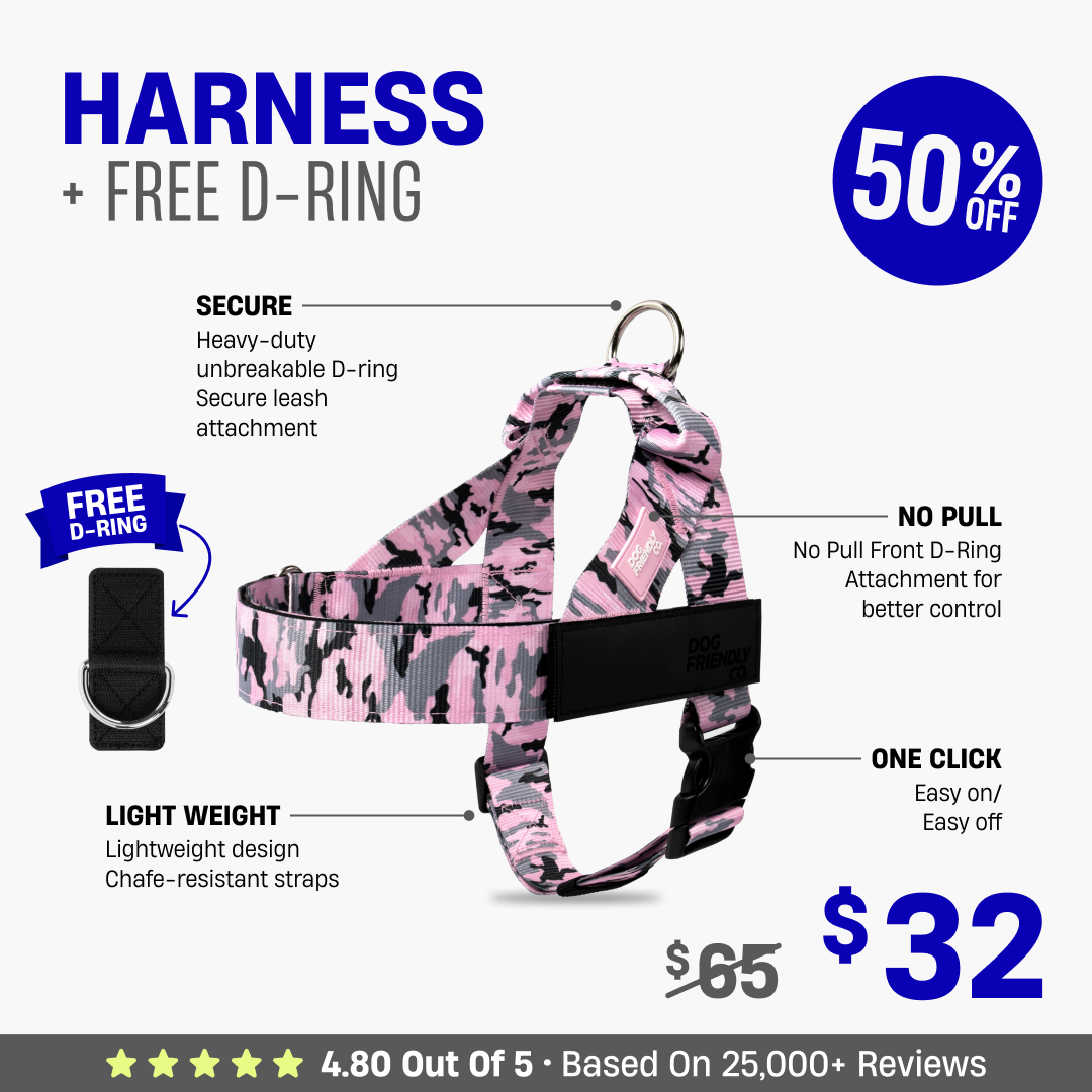 Dog Harness + FREE D-ring - 50% OFF