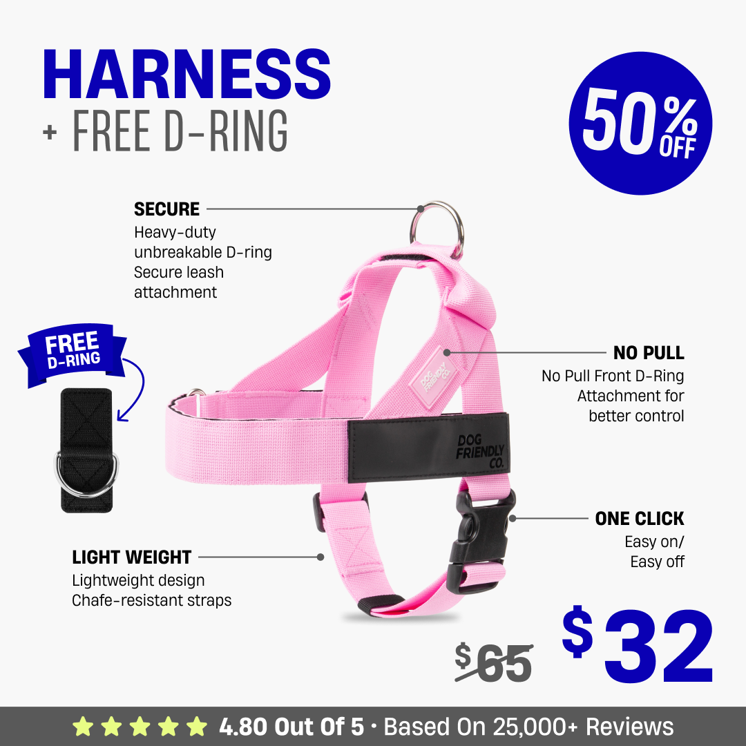Dog Harness + FREE D-ring - 50% OFF