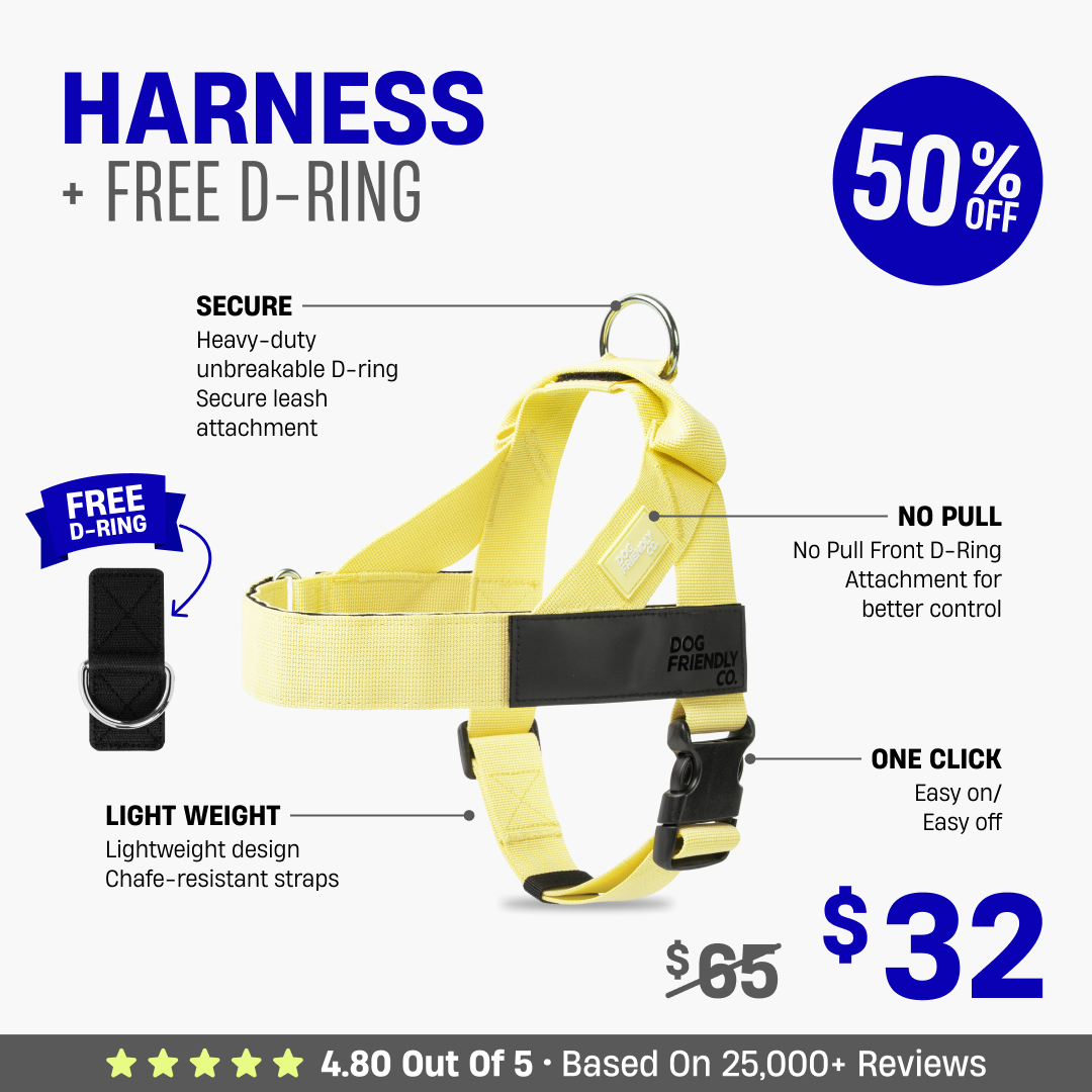Dog Harness + FREE D-ring - 50% OFF