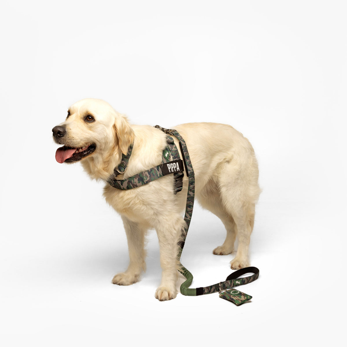 Dog wearing a Green Camo personalised harness with Green camo Tactical Collar, Green camo Bungee Leash, and Green Camo Poo Bag Holder shown from the side.