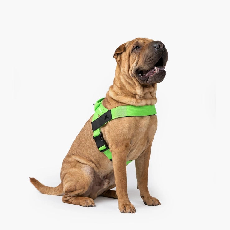Personalised Dog Harness - Neon Green
