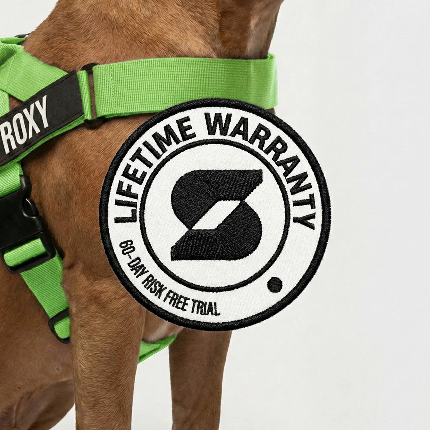 Personalised Dog Harness - Neon Green