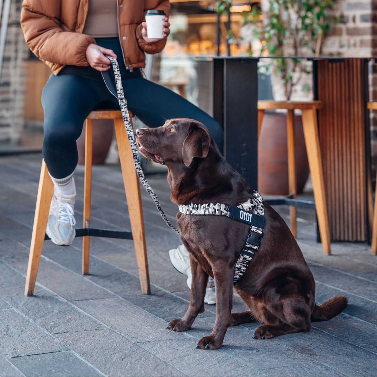 Dog wearing a Grey Camo personalised harness shown from the side with the Grey Camo Classic Leash.