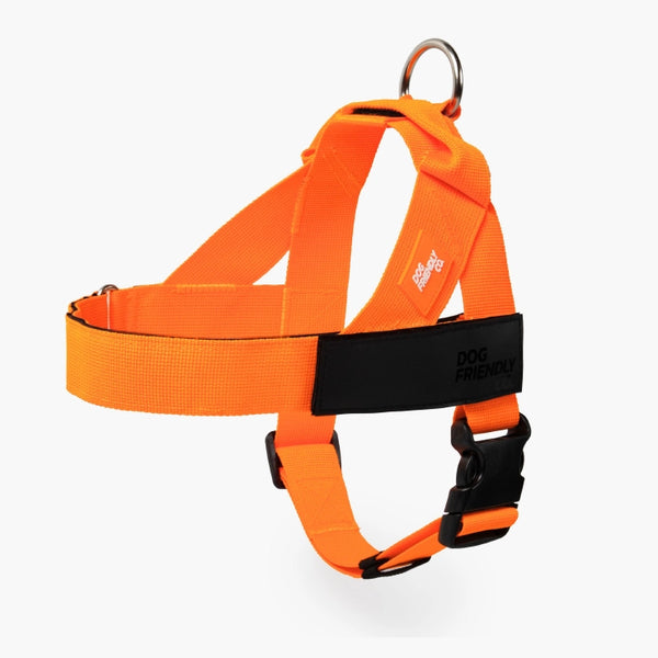 Harnesses