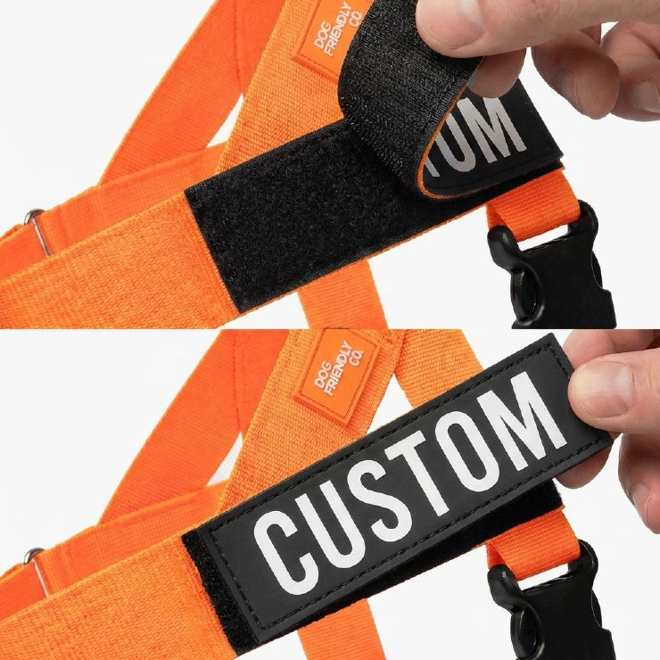 Personalised Dog Harness - Orange