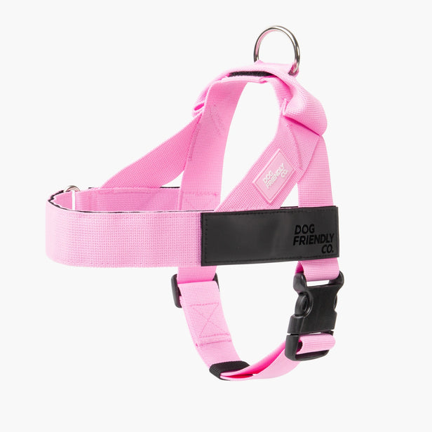 Harness - Pink