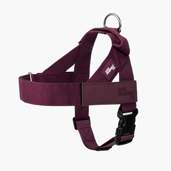 Harnesses