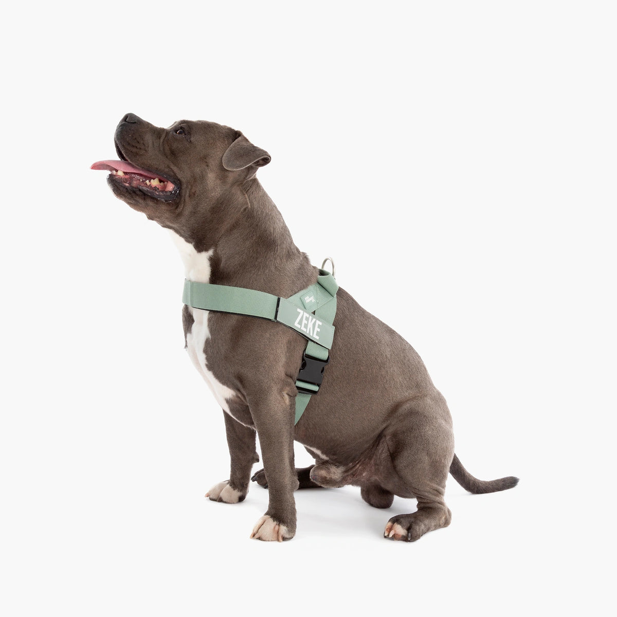 Harness - Premium Khaki
