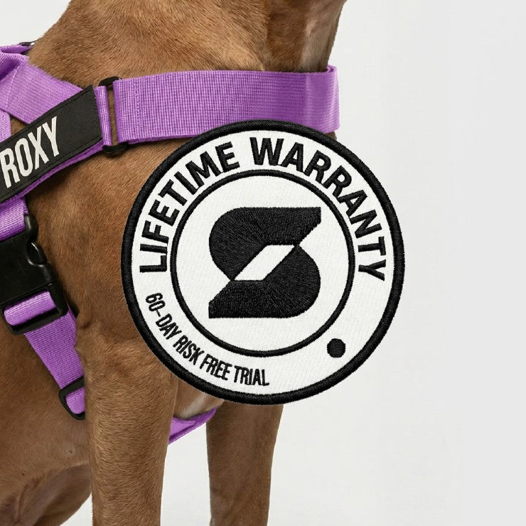 Personalised Dog Harness - Purple