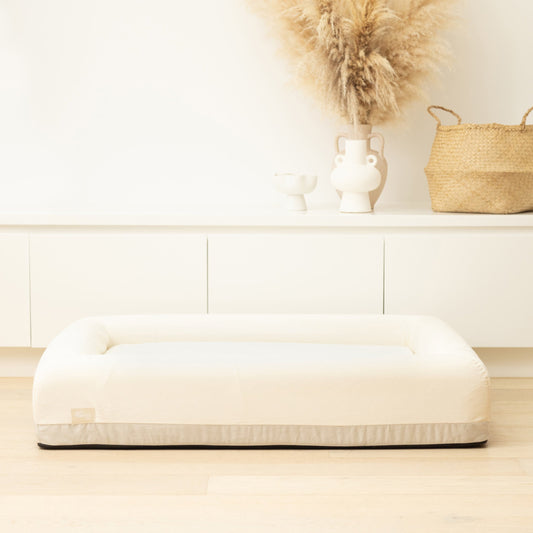 Premium Orthopedic Memory Foam Dog Bed - Beige (Large)