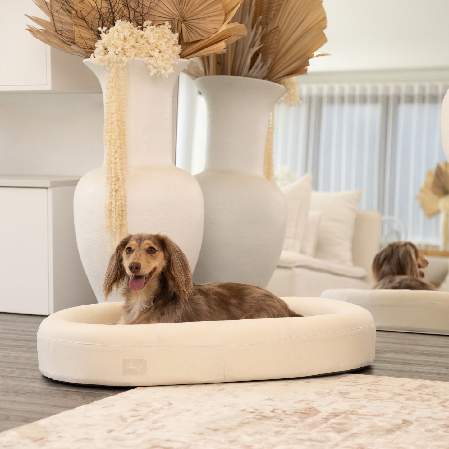 Chill Pill Memory Foam Dog Bed - Beige (Large)