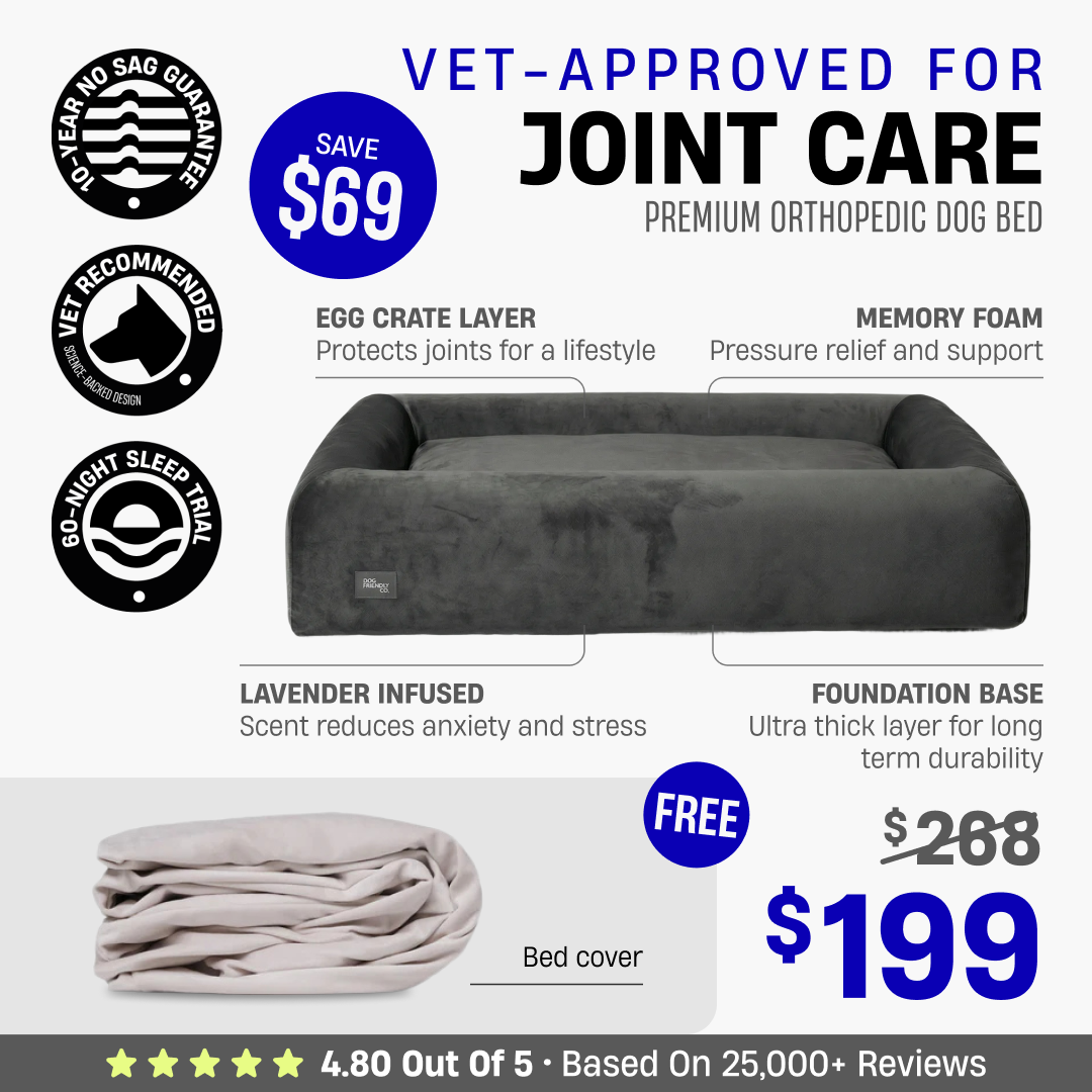 Premium Orthopedic Dog Bed + FREE Bed Cover