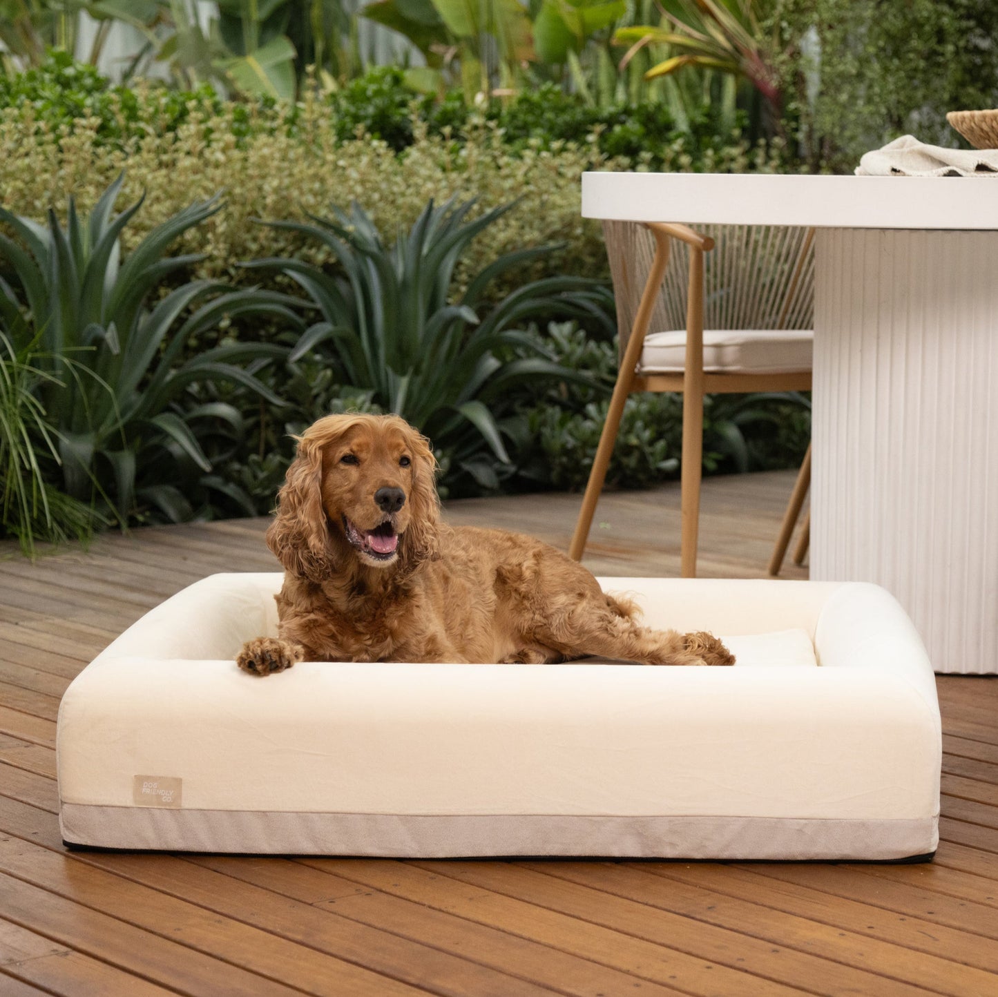 Premium Orthopedic Memory Foam Dog Bed - Beige (Medium)