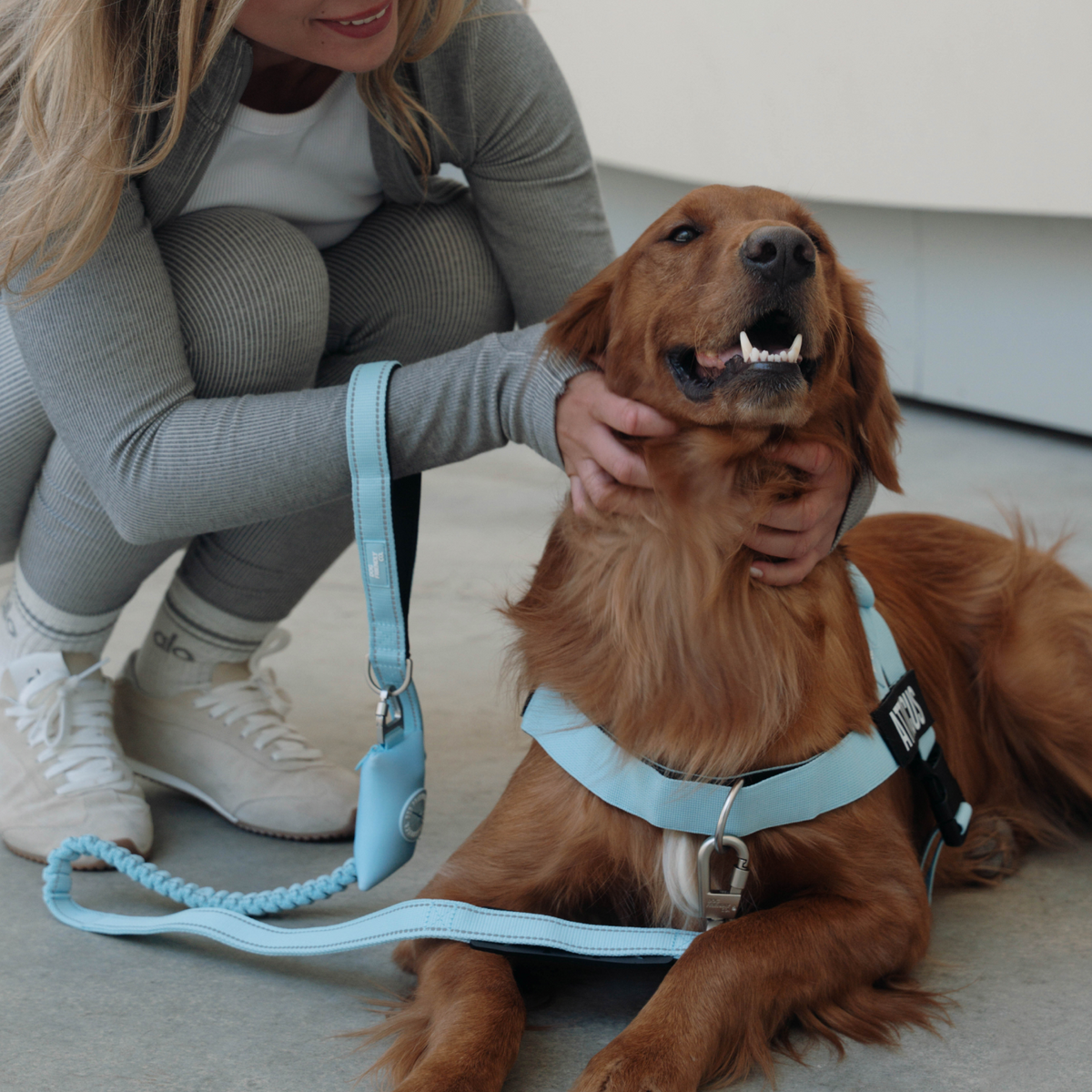 Dog Poop Bag Holder - Sky Blue