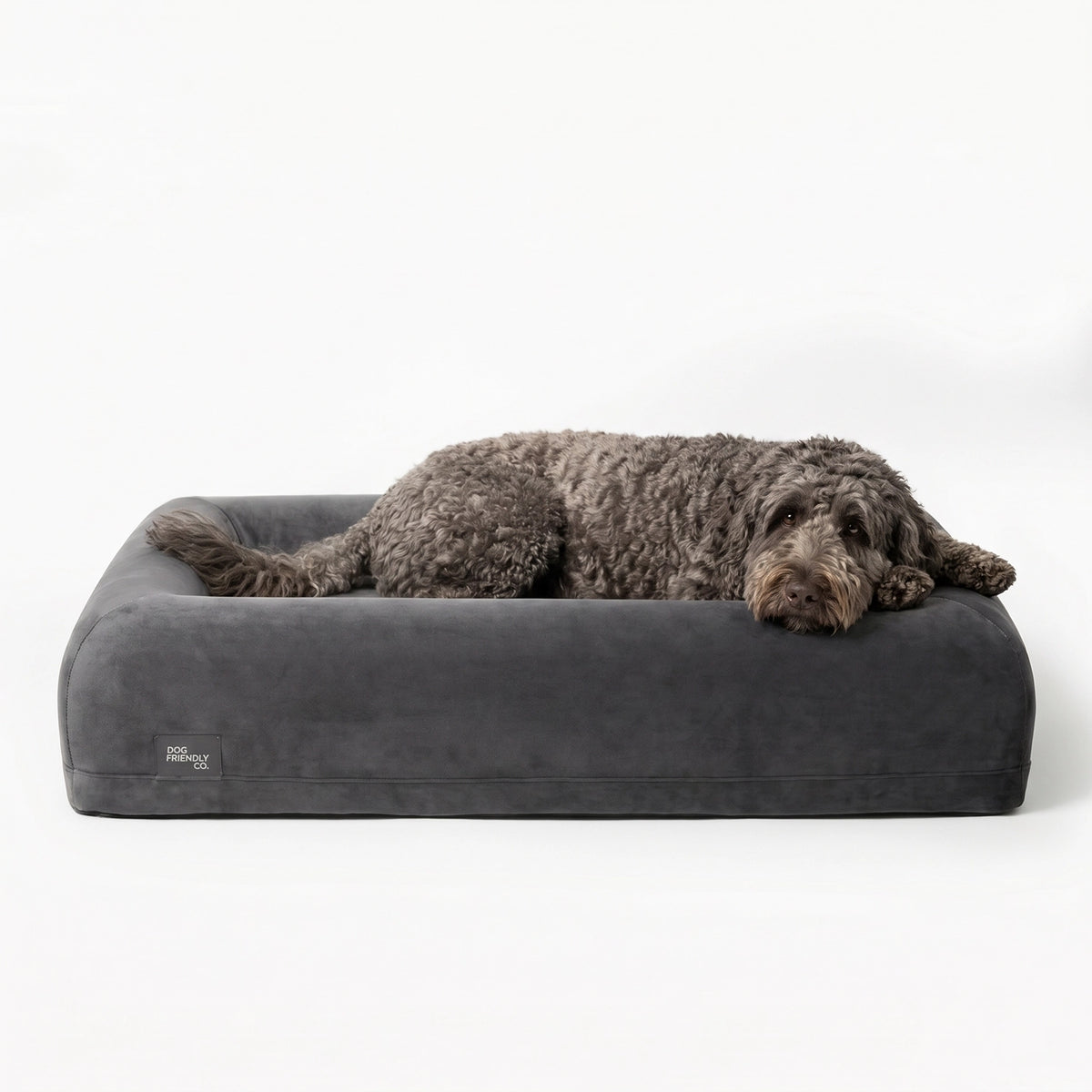 Dog resting comfortably on a charcoal-covered dog bed.