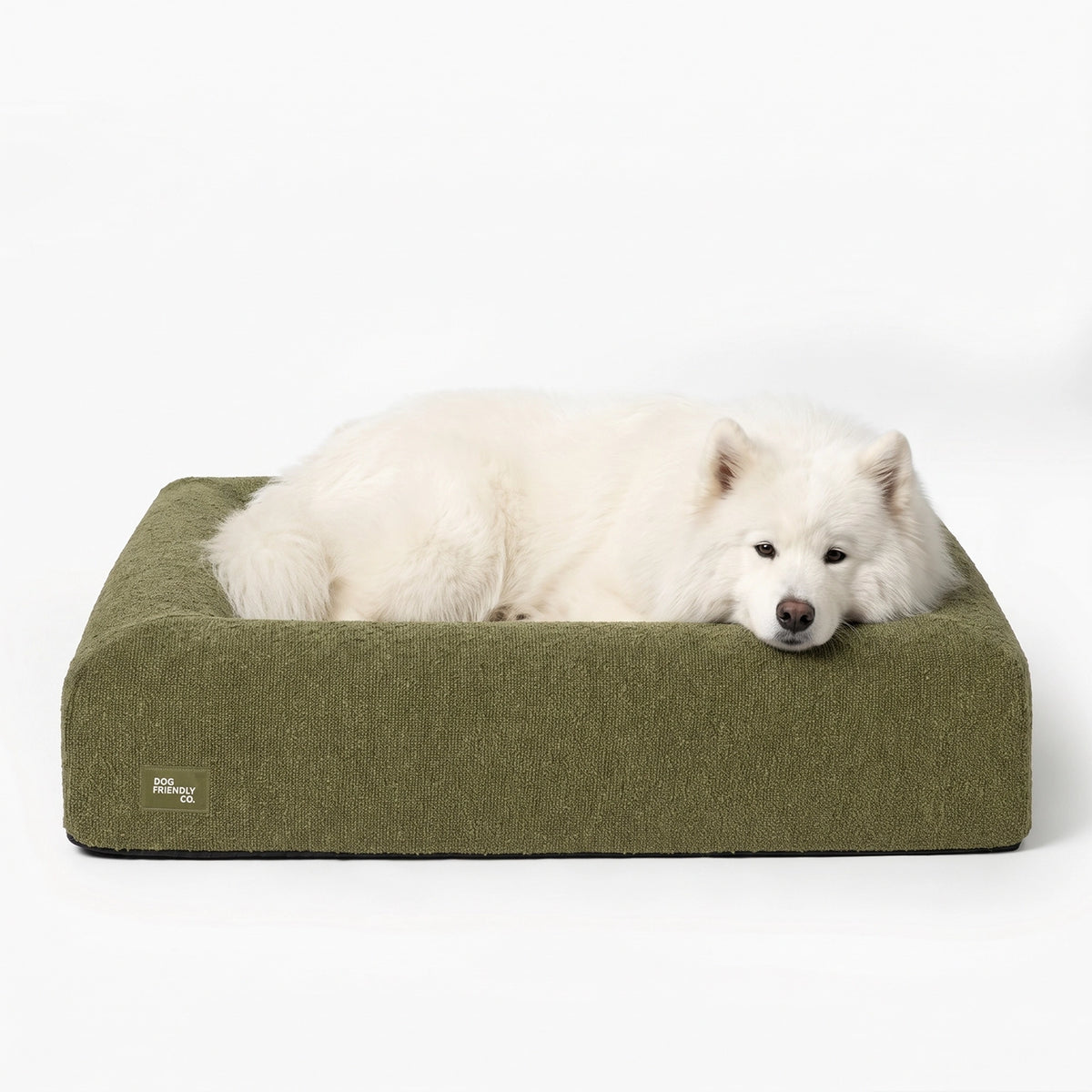 Dog resting comfortably on a dog bed covered with the green bouclé replacement cover.
