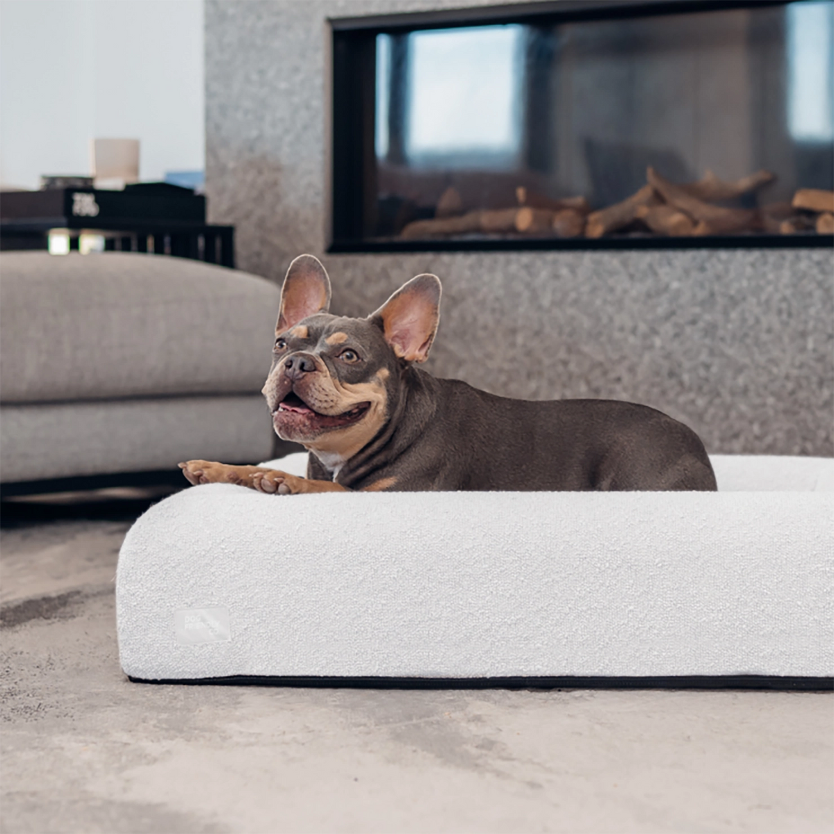 Small dog resting on a grey bouclé dog bed in a living room.