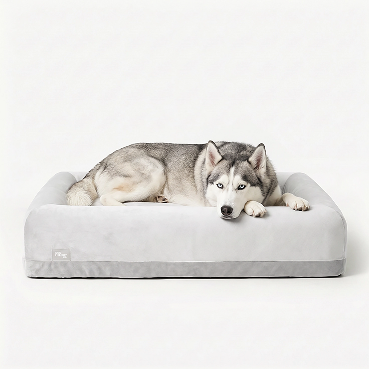 Grey and white dog resting on a grey Dog Friendly Co. dog bed.