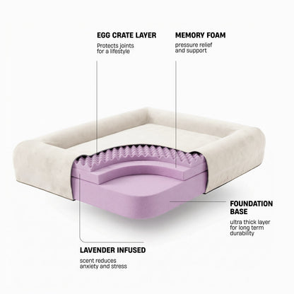Premium Orthopedic Memory Foam Dog Bed - Beige (Medium) (Preorder)