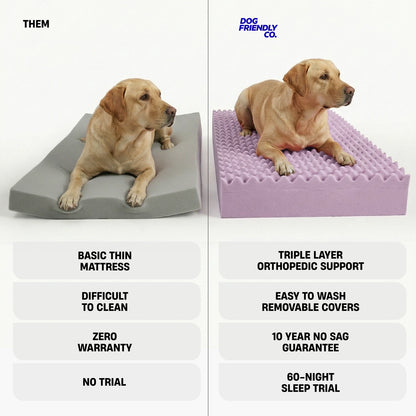 Premium Orthopedic Memory Foam Dog Bed - Beige (Medium) (Preorder)