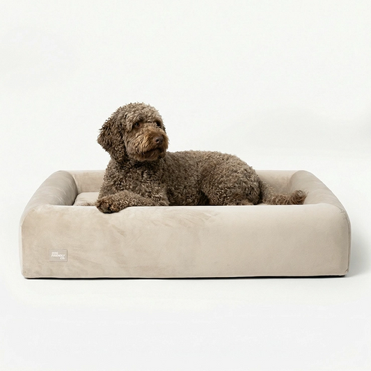 Premium Orthopedic Memory Foam Dog Bed - Beige (Small)