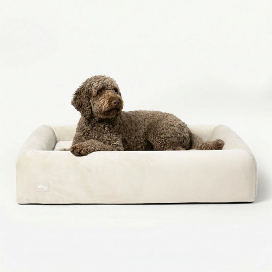 Premium Orthopedic Memory Foam Dog Bed - Beige (Large)