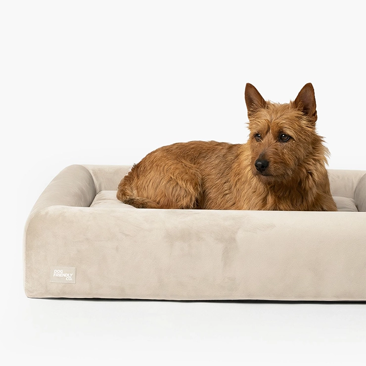 Premium Orthopedic Memory Foam Dog Bed - Beige (Medium)