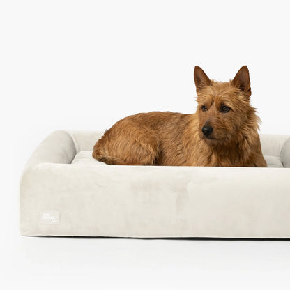 Premium Orthopedic Memory Foam Dog Bed - Beige