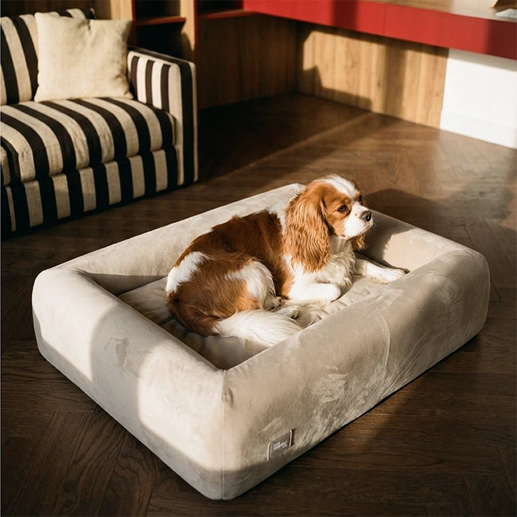 Premium Orthopedic Memory Foam Dog Bed - Beige (Medium)