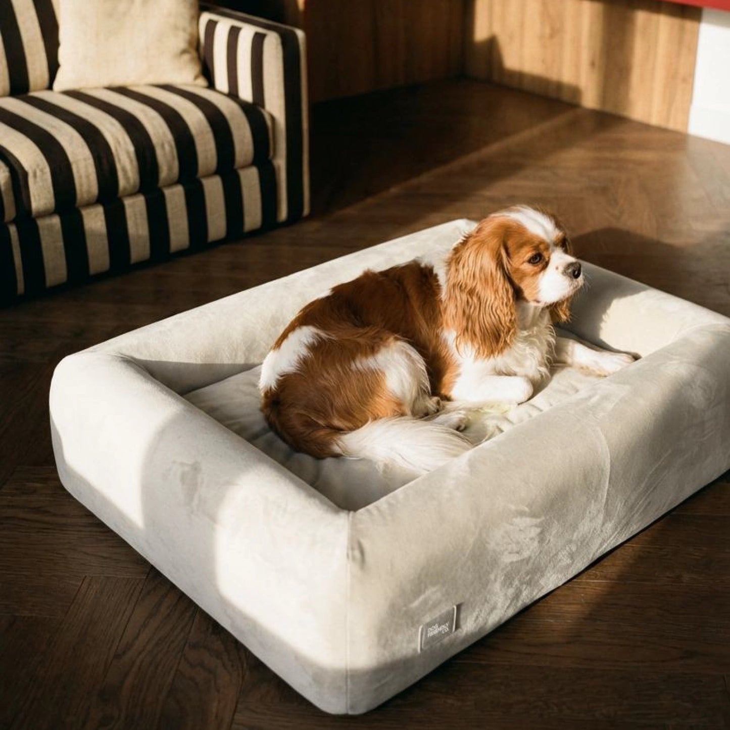 Premium Orthopedic Memory Foam Dog Bed - Beige (Medium)