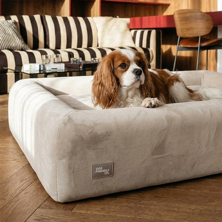 Premium Orthopedic Memory Foam Dog Bed - Beige (Medium)