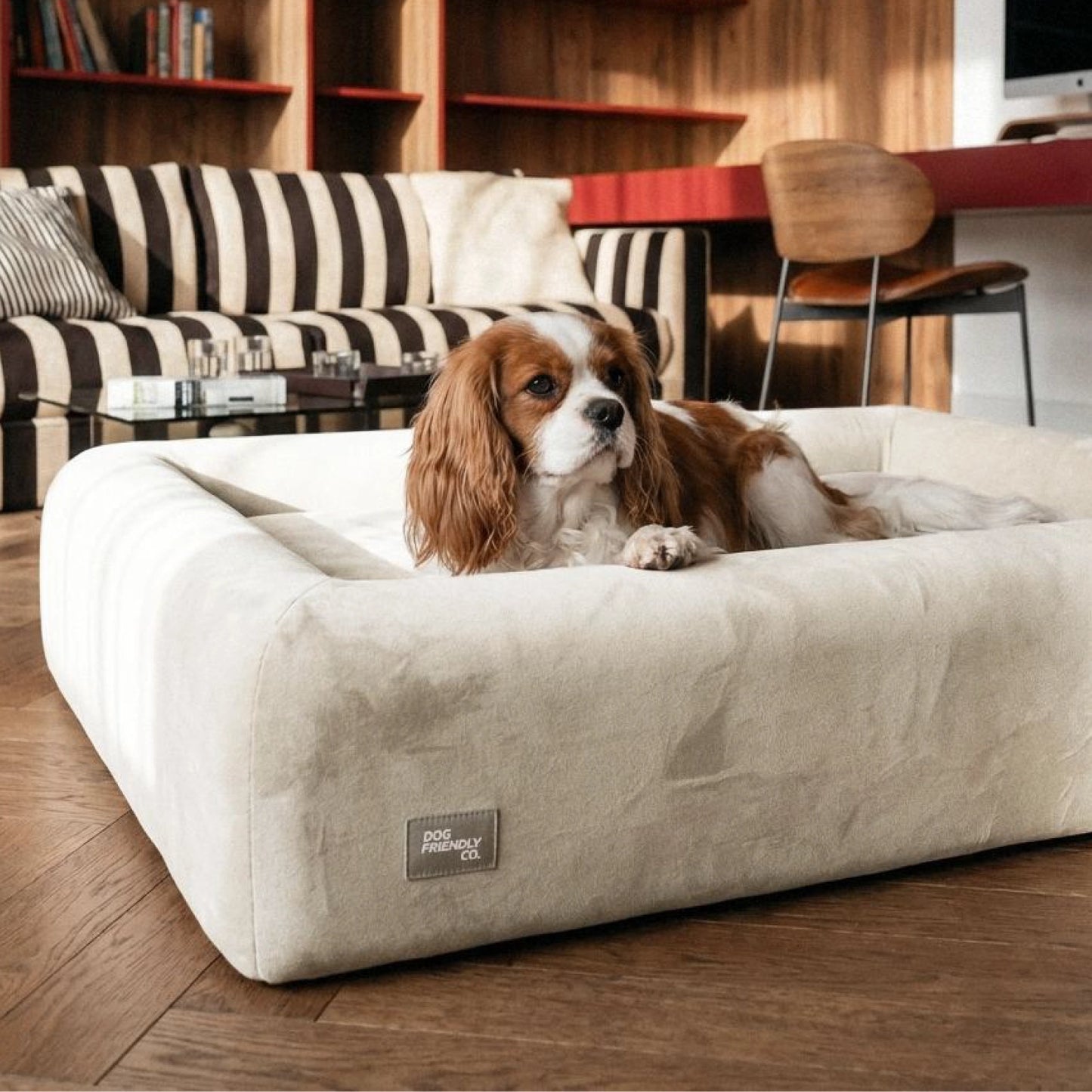 Premium Orthopedic Memory Foam Dog Bed - Beige (Medium)
