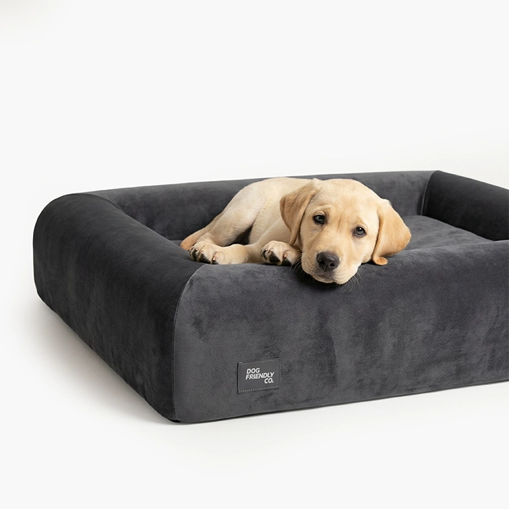 Premium Orthopedic Memory Foam Dog Bed - Charcoal