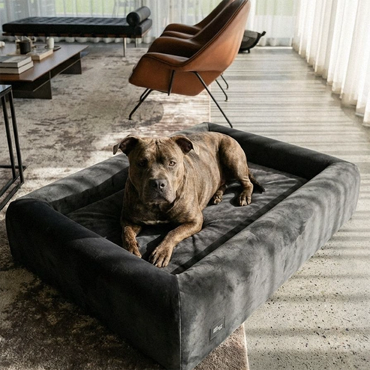 Premium Orthopedic Memory Foam Dog Bed - Charcoal (Small)